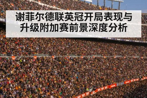 football stadium crowd - kaiyun